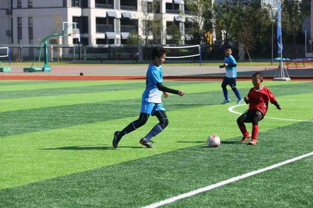 咸阳湖龙舟公开赛将启 双轨赛制赋能全民健身与城市文旅